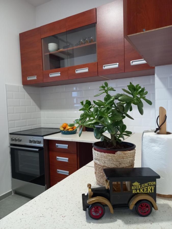 Avenija Oaza Daire Novi Sad Dış mekan fotoğraf